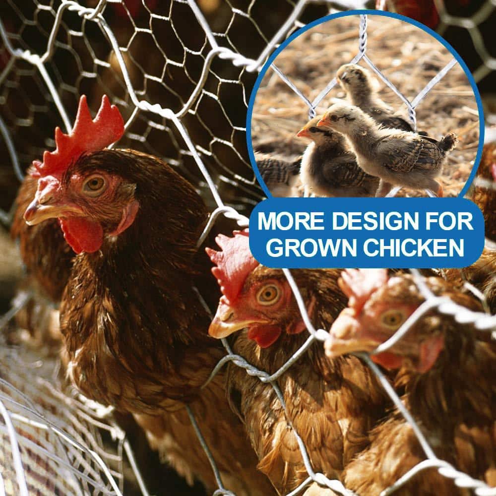 Fencer Wire 3 ft. x 150 ft. 20-Gauge Poultry Netting with 2 in. Mesh