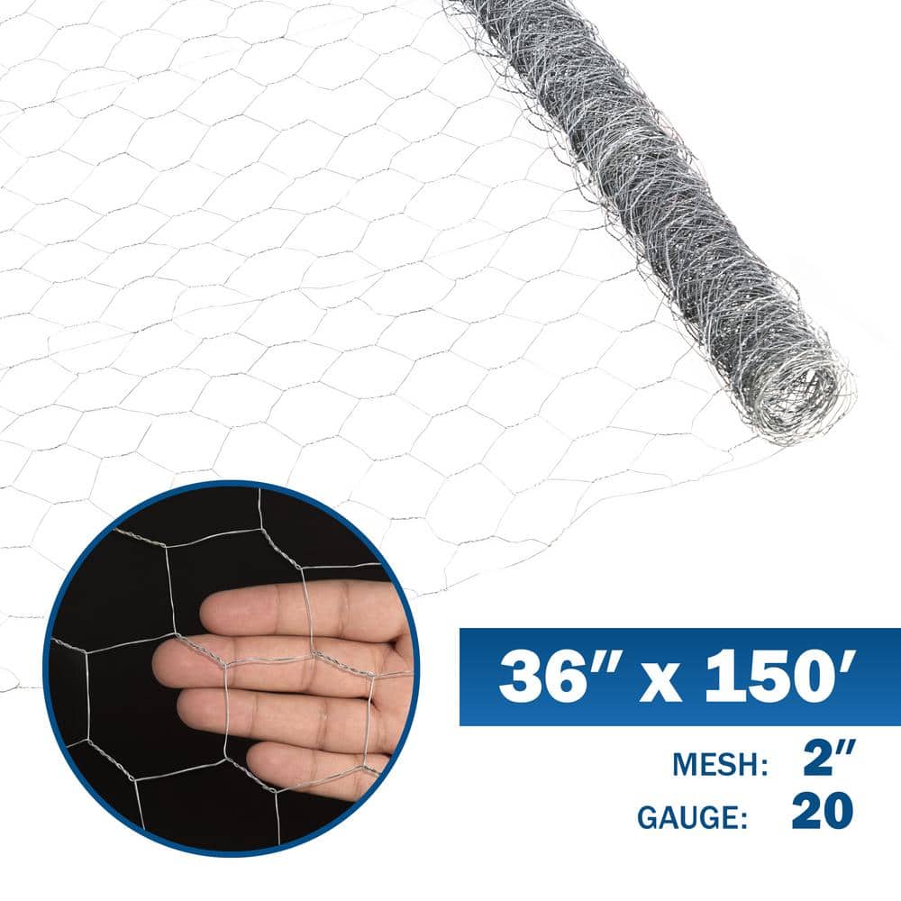 Fencer Wire 3 ft. x 150 ft. 20-Gauge Poultry Netting with 2 in. Mesh