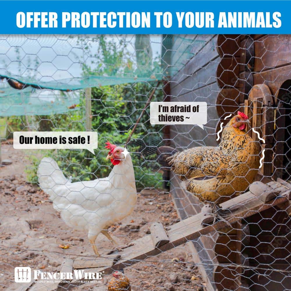 Fencer Wire 3 ft. x 50 ft. 20-Gauge Poultry Netting with 1 in. Mesh