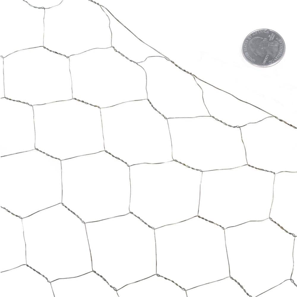 Fencer Wire 3 ft. x 50 ft. 20-Gauge Poultry Netting with 2 in. Mesh
