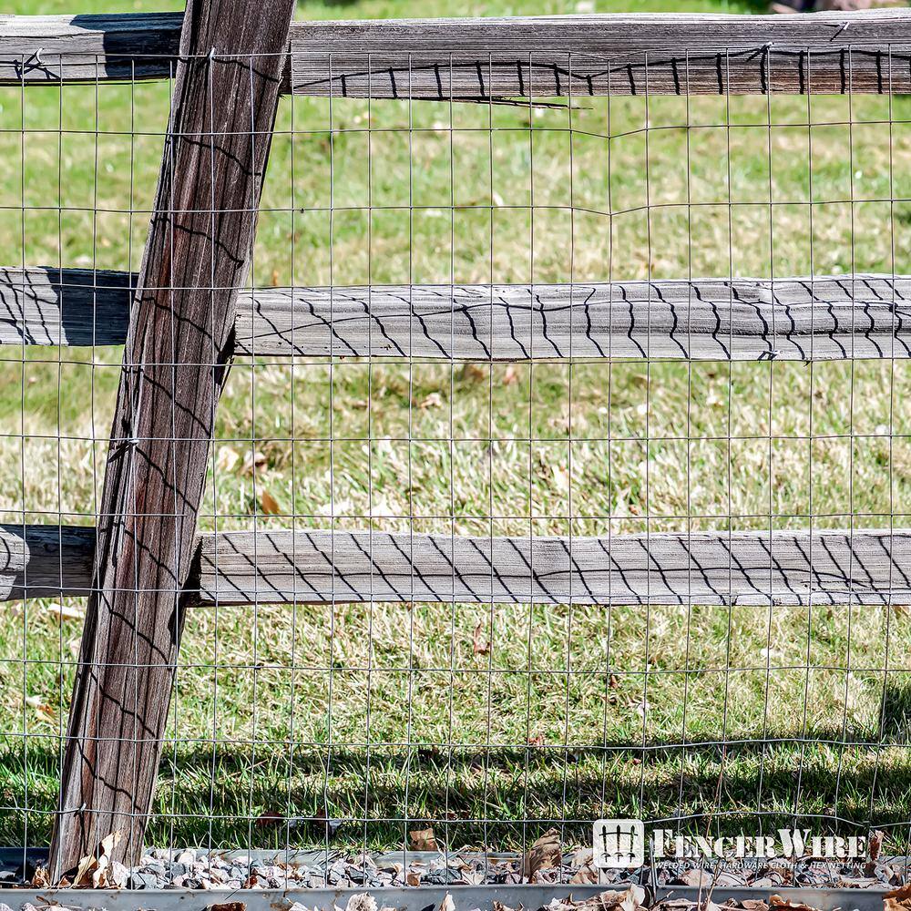 Fencer Wire 2 ft. x 50 ft. 12.5-Gauge Welded Wire Fence with 2 in. x 4 in. Mesh, Galvanized Welded Fence Wire Roll