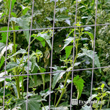 Fencer Wire 2 ft. x 50 ft. 12.5-Gauge Welded Wire Fence with 2 in. x 4 in. Mesh, Galvanized Welded Fence Wire Roll