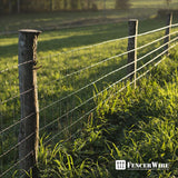 Fencer Wire 2 ft. x 50 ft. 12.5-Gauge Welded Wire Fence with 2 in. x 4 in. Mesh, Galvanized Welded Fence Wire Roll