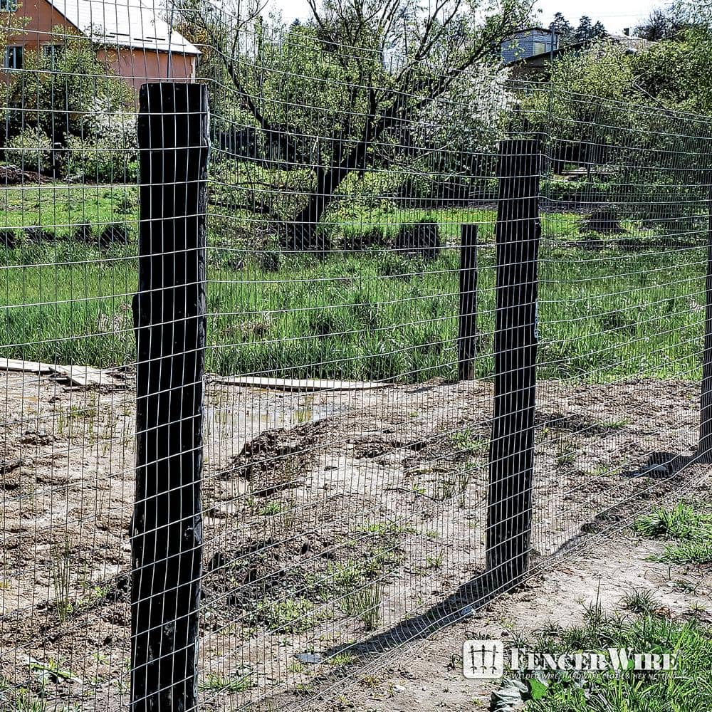 Fencer Wire 3 ft. x 50 ft. 16-Gauge Welded Wire Fence with Mesh 2 in. x 3 in.