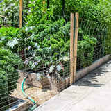 Fencer Wire 2 ft. x 50 ft. 16-Gauge Galvanized Rabbit Fence