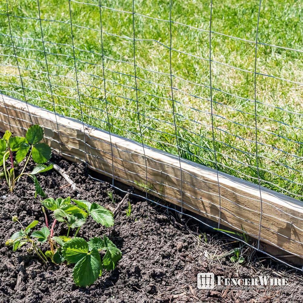 Fencer Wire 2 ft. x 50 ft. 16-Gauge Galvanized Rabbit Fence