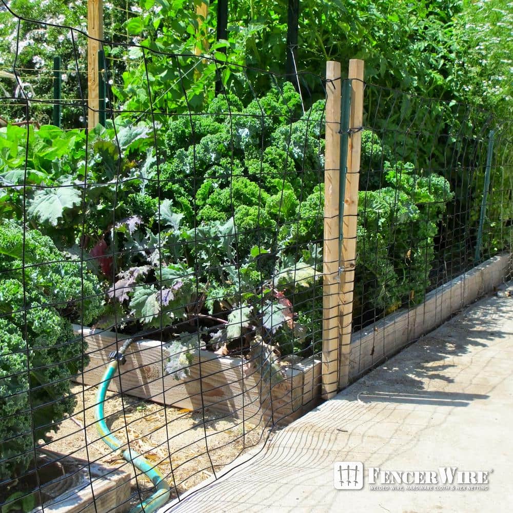 Fencer Wire 40 in. x 50 ft. 16-Gauge Black PVC-Coated Rabbit Guard Fence, Poultry Fencing Wire Roll for Garden Yard Vegetable Plant