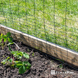 Fencer Wire 40 in. x 50 ft. 16-Gauge Black PVC-Coated Rabbit Guard Fence, Poultry Fencing Wire Roll for Garden Yard Vegetable Plant