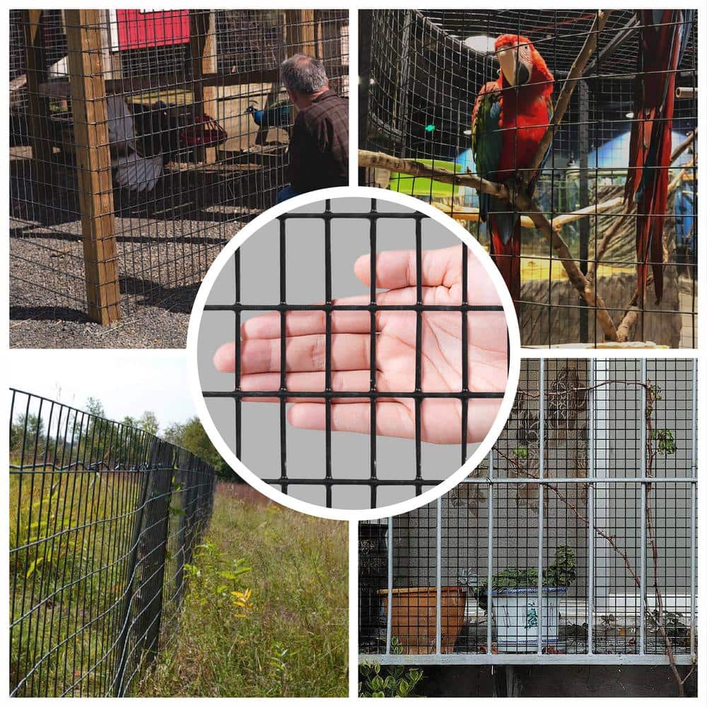 Fencer Wire 3 ft. x 50 ft. 16-Gauge Black PVC Coated Welded Wire Fence with Mesh Size 1/2 in. x 1 in.