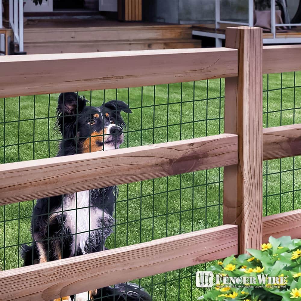 Fencer Wire 2 ft. x 25 ft. 16-Gauge Green PVC Coated Welded Wire Fence with Mesh Size 3 in. x 2 in.