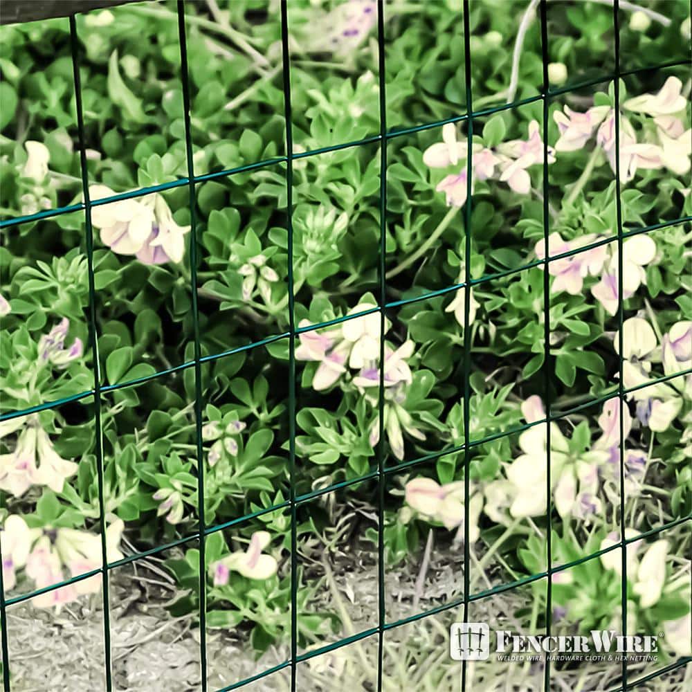 Fencer Wire 2 ft. x 25 ft. 16-Gauge Green PVC Coated Welded Wire Fence with Mesh Size 3 in. x 2 in.
