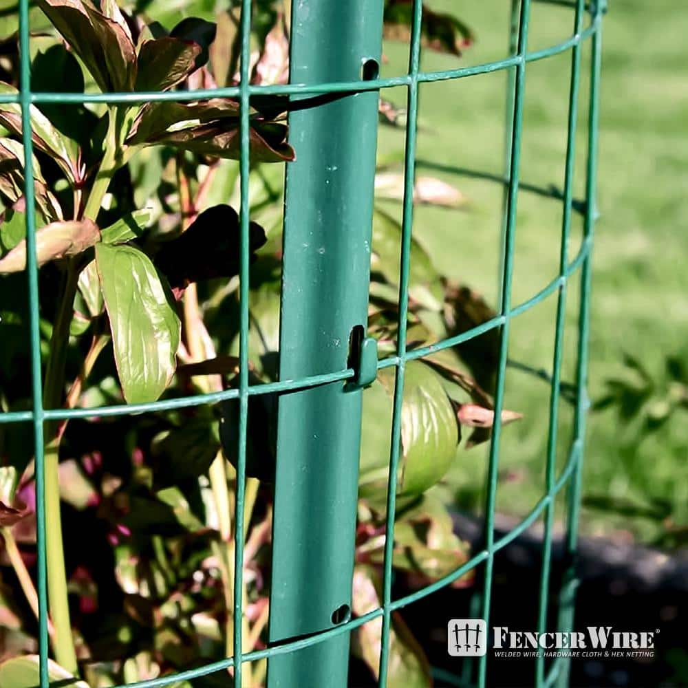 Fencer Wire 2 ft. x 25 ft. 16-Gauge Green PVC Coated Welded Wire Fence with Mesh Size 3 in. x 2 in.