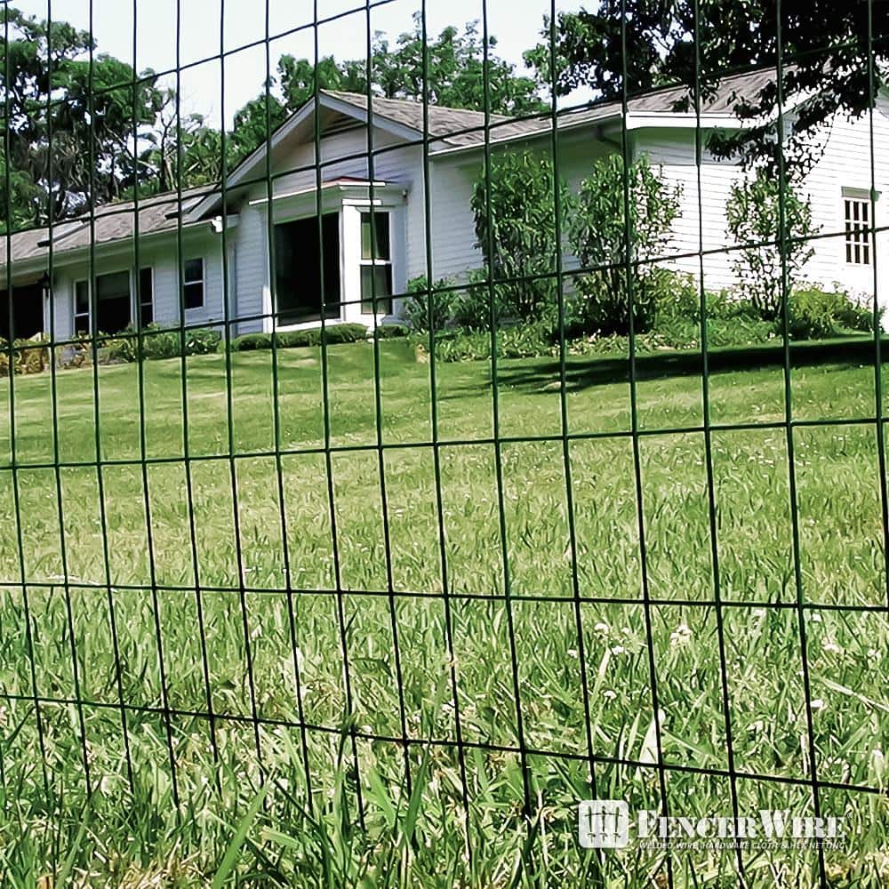 Fencer Wire 2 ft. x 25 ft. 16-Gauge Green PVC Coated Welded Wire Fence with Mesh Size 3 in. x 2 in.