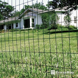 Fencer Wire 2 ft. x 25 ft. 16-Gauge Green PVC Coated Welded Wire Fence with Mesh Size 3 in. x 2 in.