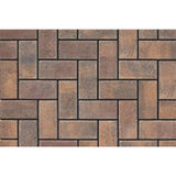 Oldcastle 8 in. L x 4 in. W x 2.25 in. H 60mm Fieldstone Holland Pavers (486-Piece Pallet)