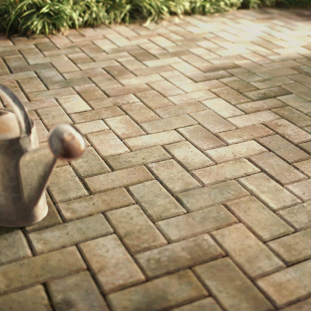 Pavestone Holland 7.87 in. L x 3.94 in. W x 1.77 in. H 45 mm Fieldstone Blend Concrete Paver (672-Piece/145 sq. ft./Pallet)