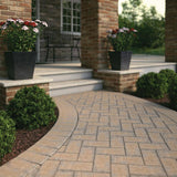 Pavestone Paper Sample Only of Holland 7.87 in. L x 3.94 in. W x 1.77 in. H 45 mm Fieldstone Blend Concrete Paver (1-Piece)