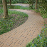 Pavestone Paper Sample Only of Holland 7.87 in. L x 3.94 in. W x 1.77 in. H 45 mm Fieldstone Blend Concrete Paver (1-Piece)