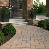 Pavestone Paper Sample Only of Holland 7.87 in. L x 3.94 in. W x 1.77 in. H 45 mm Fieldstone Blend Concrete Paver (1-Piece)
