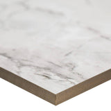 MSI Franrivers Gray Onyx 24 in. W x 48 in. L Polished Porcelain Floor and Wall Tile (16 sq. ft./Case)