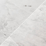 MSI Franrivers Gray Onyx 24 in. W x 48 in. L Polished Porcelain Floor and Wall Tile (16 sq. ft./Case)