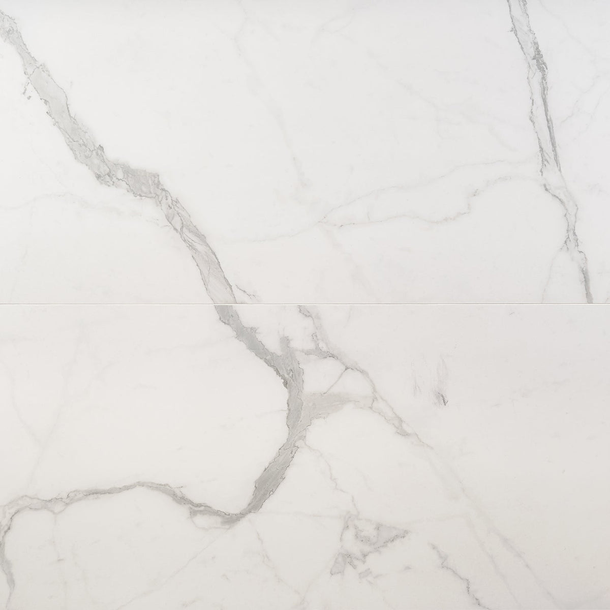 Tilebar Marmi Bianco Venato Matte Porcelain Tile 24x48