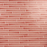 Carolina Coral Pink 2x20 Polished Ceramic Wall Tile by Lux Tile