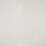 Bronx White Matte Porcelain Mosaic Tile - 2x2 Inches