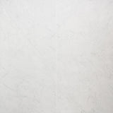 DreamStone Carrara Giola 24x24 Matte Porcelain Tile