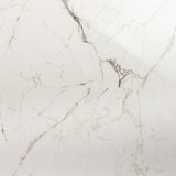 DreamStone Statuario Venato White 24x48 Polished Porcelain Tile