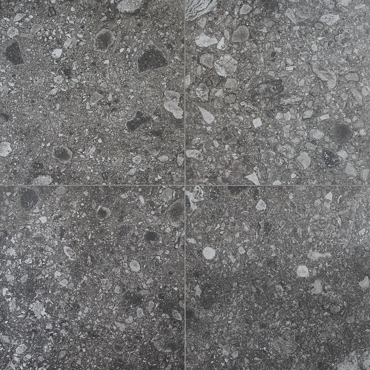 Rizo Charcoal Gray Terrazzo Look Matte Porcelain Tile - 24x24