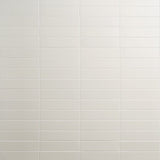 Roller White Matte Porcelain Subway Tile 3x11"