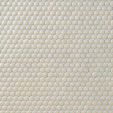 Eden Latte Beige Rimmed Hexagon Polished Porcelain Mosaic Tile