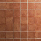 Paula Purroy Talia Terracotta 5x5 Matte Ceramic Tile - Lux Tile