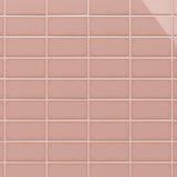 Tilebar Park Hill Pink 3x6 Polished Porcelain Subway Tile