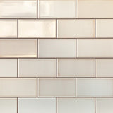 Vector Hueso White 4x8 Polished Ceramic Subway Tile - Lux Tile