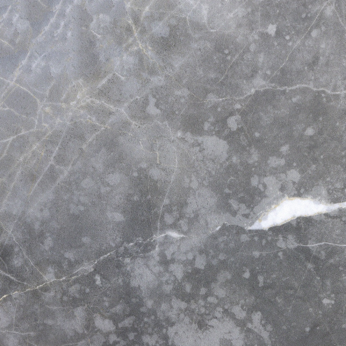 Marble Tech Grigio Imperiale Gray 24x24 Polished Porcelain Tile