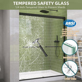 Getpro 50 in.-54 in. W x 72 in. H Double Sliding Framed Shower Door in Matte Black with 1/4 in. (6 mm) Clear Glass