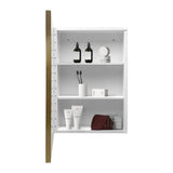 16 in. W x 28 in. H Rectangular Metal Framed Medicine Cabinet with Mirror