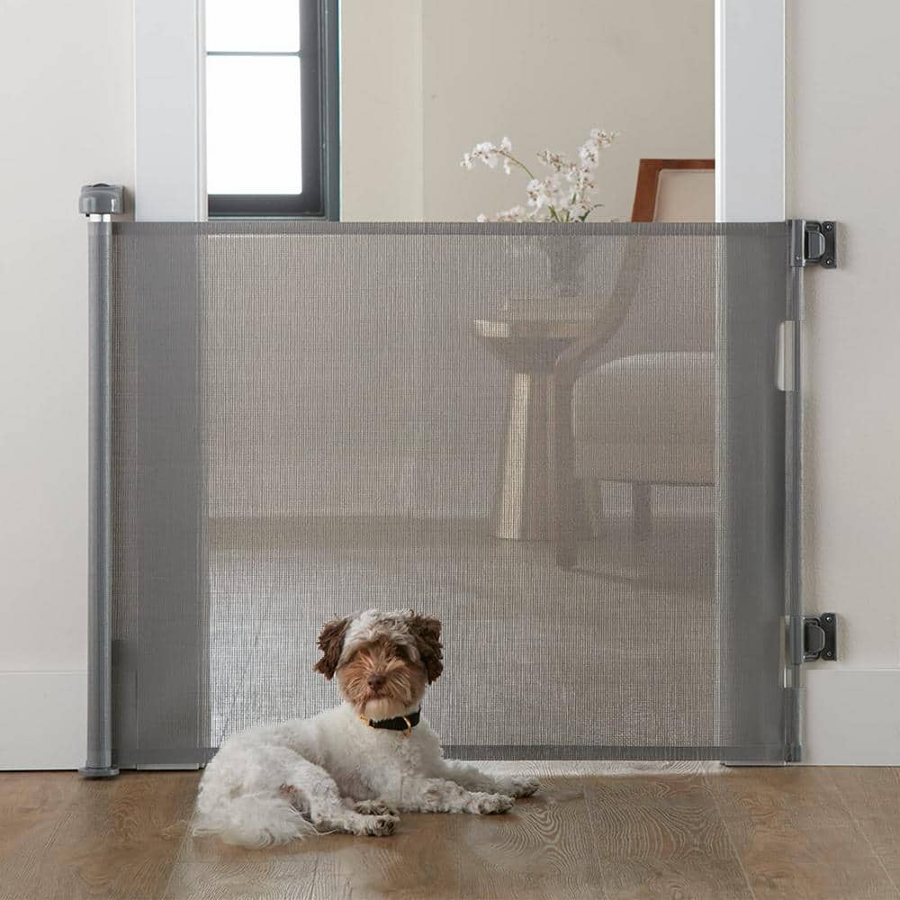 Angel Sar Gray 33" x 55" H PVC Retractable Baby Gates, Hardware Mounted Wide Mesh Dog Gate for Stairs Doorways Hallways