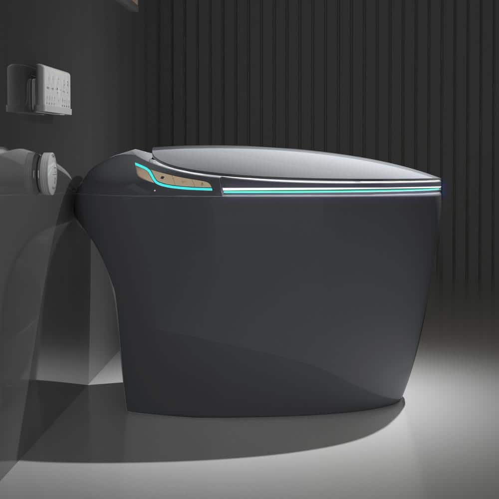 Unbranded Oblong Smart Toilet Bidet in Gray with Advanced Features