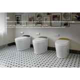 HOROW T03 Family Smart Bidet Toilet with Auto Flush and Warm Air Dryer - 1.27 GPF