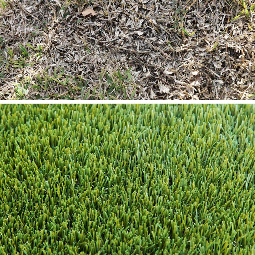 COLOURTREE Mastiff 50 2 ft. Wide x Cut to Length Green Artificial Grass Carpet
