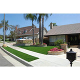 GREENLINE ARTIFICIAL GRASS Classic 54 Fescue 15 ft. Wide x Cut to Length Green Artificial Grass Carpet