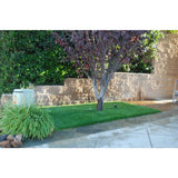 GREENLINE ARTIFICIAL GRASS Jade 15 ft. x 25 ft. Green Artificial Grass Rug