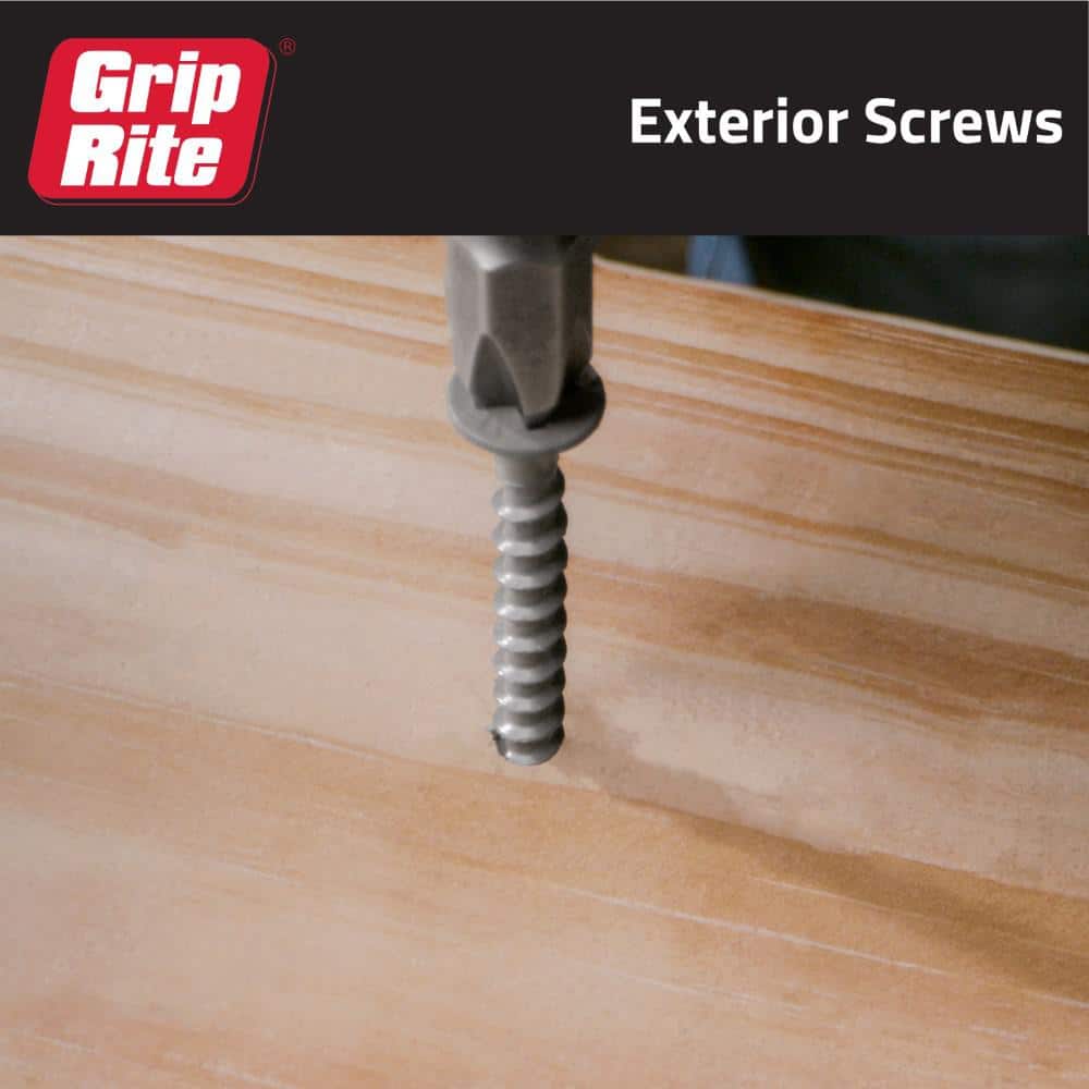 Grip-Rite #8 x 2 in. #2 Phillips Bugle Head Coarse Thread Coated Exterior Screws 5 lb. Box