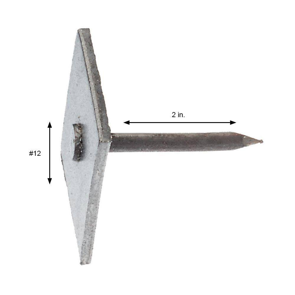 2-1/2 in. Square Head Cap Nails, 50 lb Box (15MISC212)
