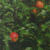 1/4 in. x 3 ft. x 5 ft. 23-Gauge Hardware Cloth