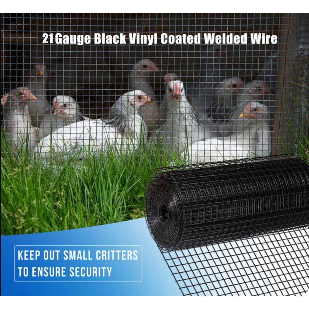1/4 in. x 2 ft. x 50 ft. 21-Gauge Black Hardware Cloth Welded Cage Wire Chicken Fence Poultry Netting