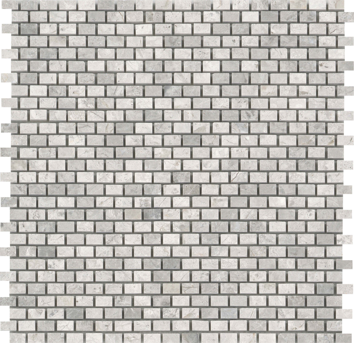 Emser Marble Silver 12-in x 24-in Polished Natural Stone Floor and Wall Tile